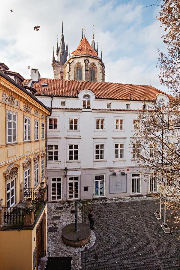 U Cerneho Medveda- At The Black Bear Apartment Prague Exterior photo